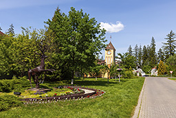 Николино