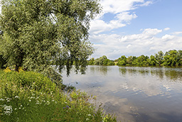 Жуковка