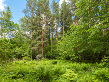 Земельные участки в Серебряном Бору img