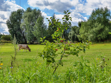 Раздоры-2 img