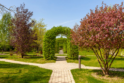 Коттеджные посёлки на Новой Риге (Новорижском шоссе)